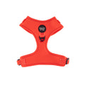 Baby Red - Dog Harness