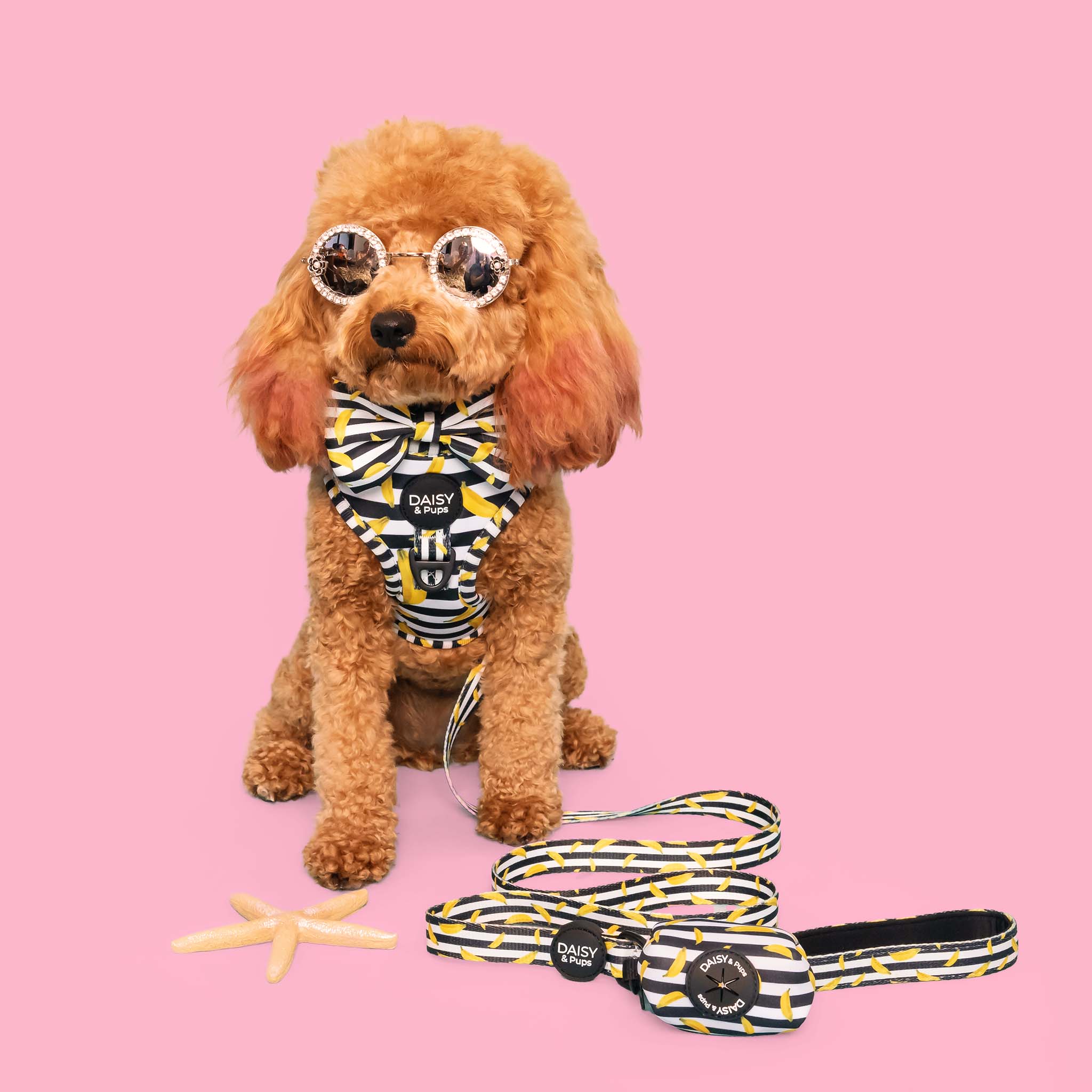 Funky banana - Dog Harness