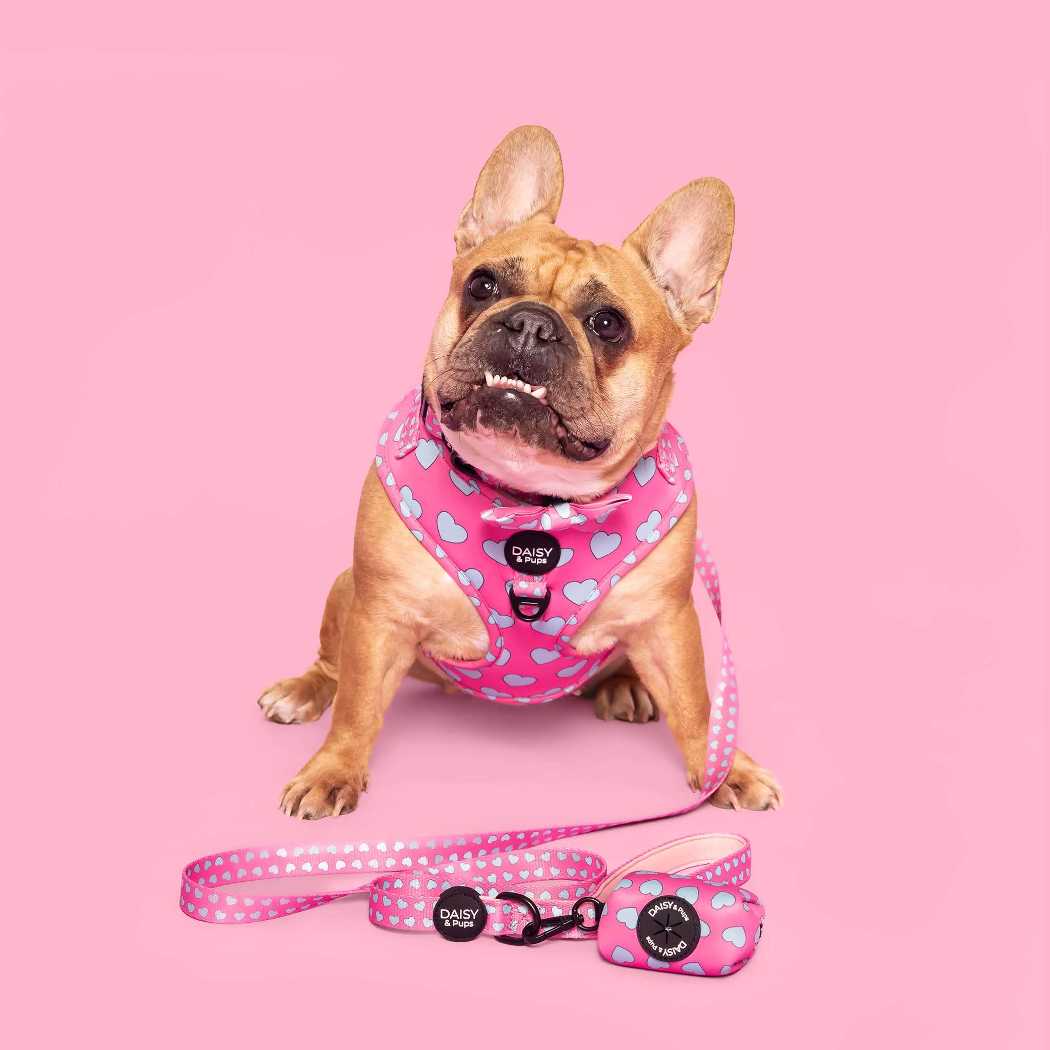 Pink Love - Dog Leash
